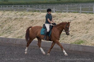 ISIS Dressage Challenge 2008